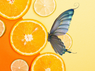 Dikdörtgen formdaki turuncu zemin üzerinde, farklı boyutlarda birkaç yuvarlak portakal dilimi yer alıyor. Görselin sol orta kısmında büyük portakal dilimi ve sağ yanında yan bir şekilde duran mavi bir kelebek, yüzünü portakala yaslamış.